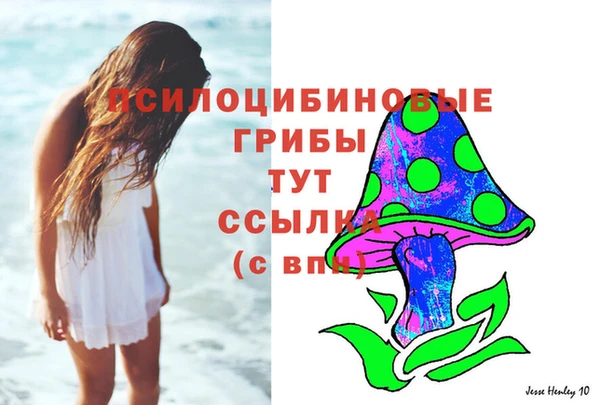 СК Пестово