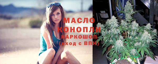 скорость Пересвет