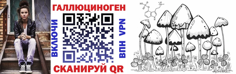 Псилоцибиновые грибы GOLDEN TEACHER  где можно купить наркотик  Бирюсинск 
